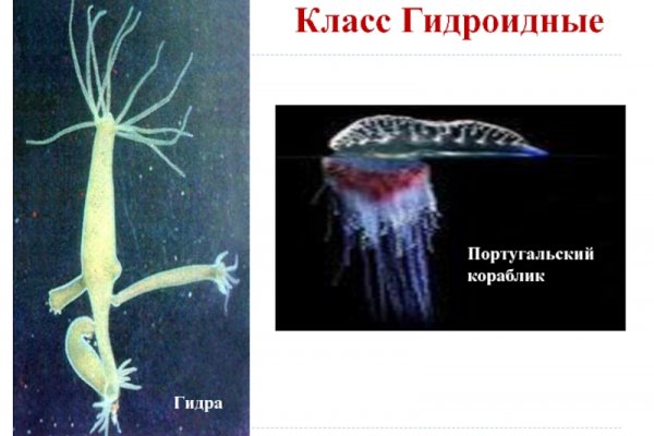 Ссылка на кракен тор kr2web in