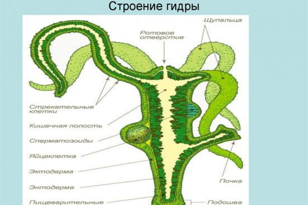 Kra33.at